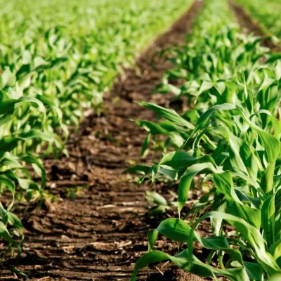 Captura-de-Tela-2023-03-05-as-19.36.00